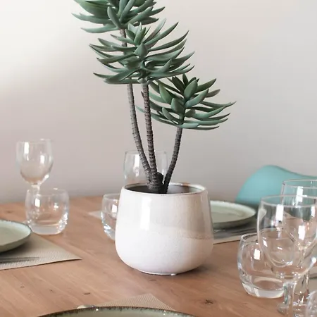 Atlantic Selection - Vagues En Vue, A L'estacade Avec Piscine * カップブルトン