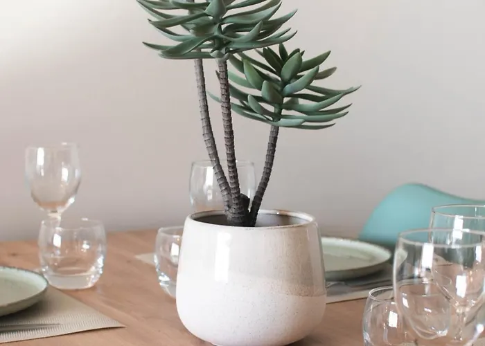 Atlantic Selection - Vagues En Vue, A L'estacade Avec Piscine * Capbreton